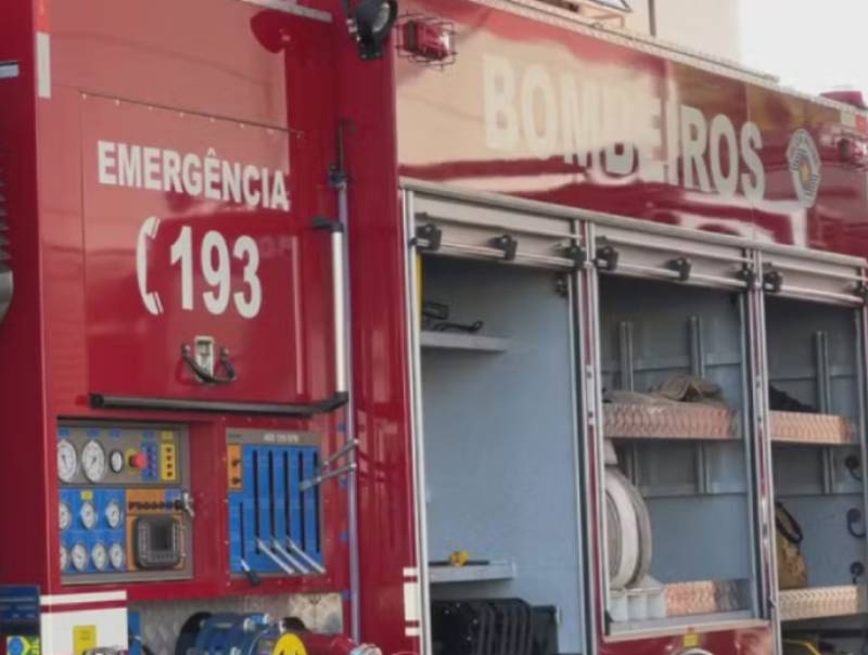Ataque de abelhas deixa nove pessoas feridas em Bauru
