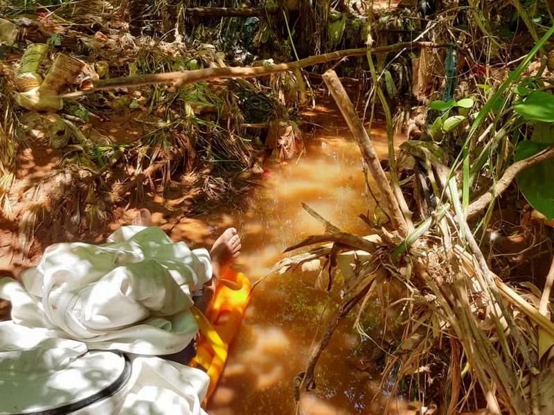 Mulher é socorrida desacordada ao lado de córrego após ser atacada por enxame de abelhas em Tupã