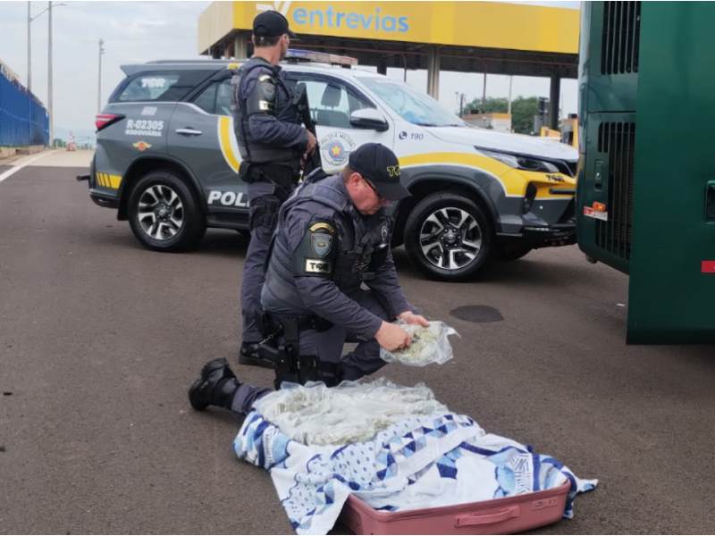 Boliviana é presa com pacotes de skunk dentro da mala em ônibus de linha em Marília