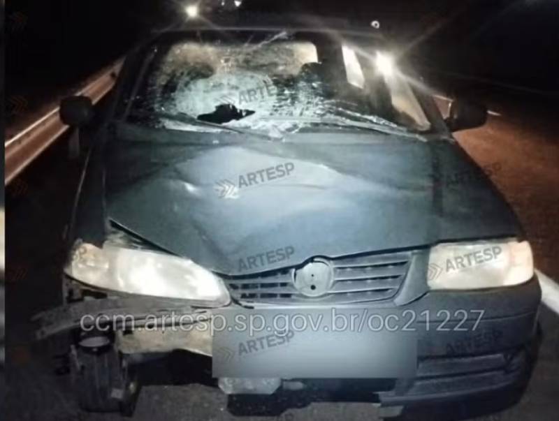 Pedestre morre após ser atropelado na SP-294 em Vera Cruz