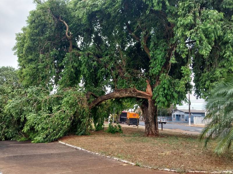 Vendaval seguido de chuva assusta moradores e causa estragos em Paraguaçu Paulista