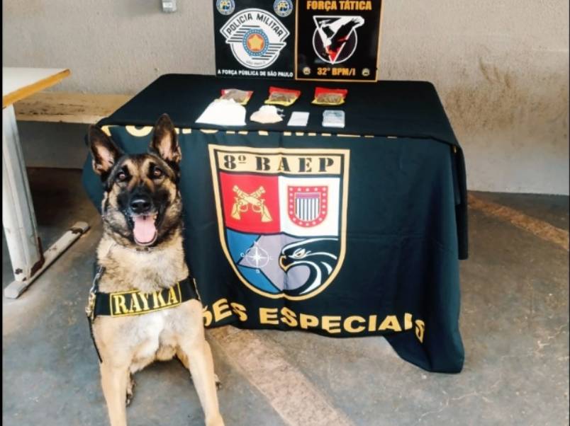 BAEP Canil e Força Tática realizam apreensão de drogas em Assis