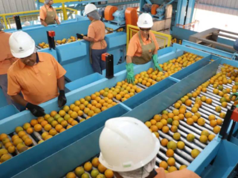 Confira a lista de quase 700 produtos que não serão taxados pelos EUA