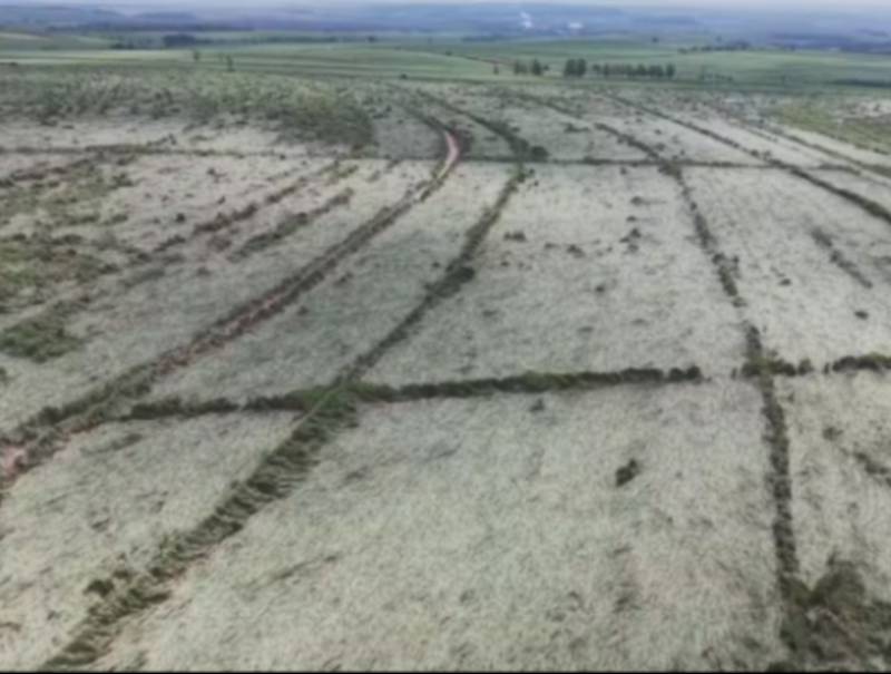 Microexplosão é suspeita de destruir canavial às margens de rodovia entre Jaú e Bocaina