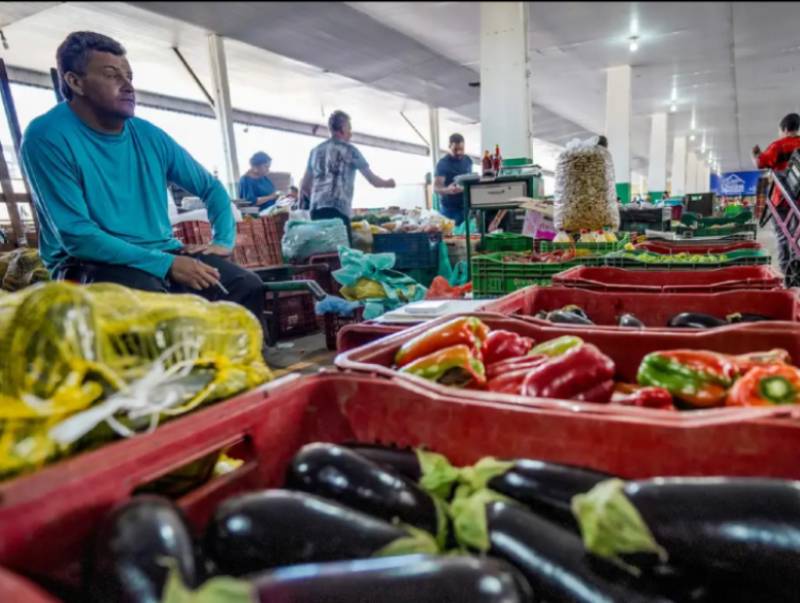 Campanha busca engajamento para reduzir desperdício de alimento