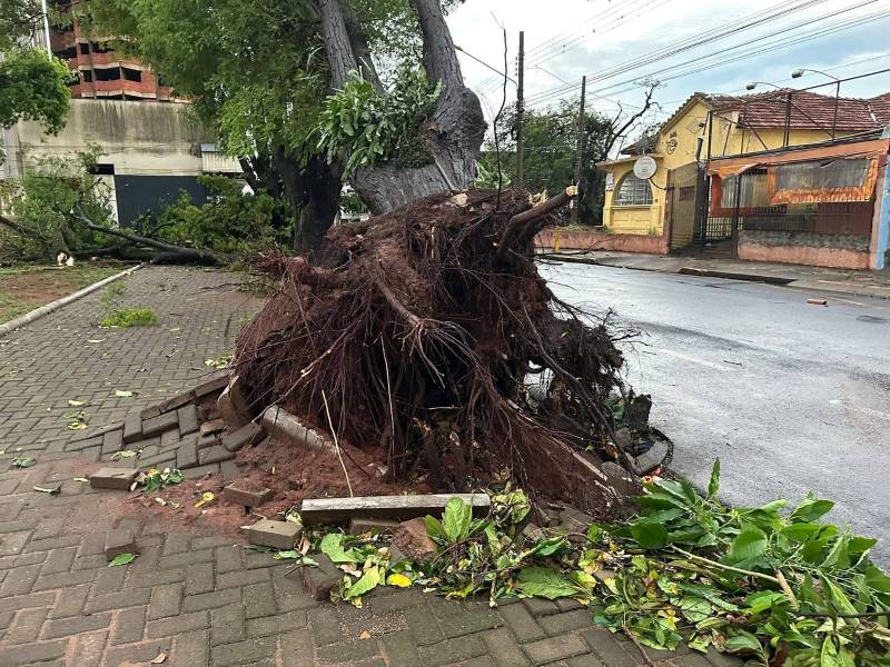Tempestade causa estragos em cidades da região