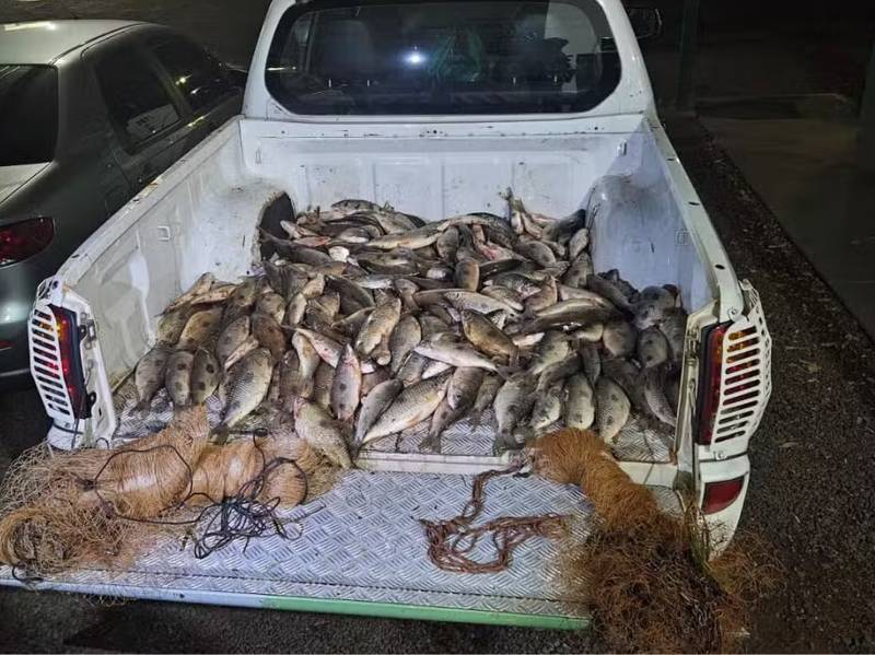 Polícia Ambiental apreende mais de 100 kg de peixes pescados ilegalmente durante a Piracema