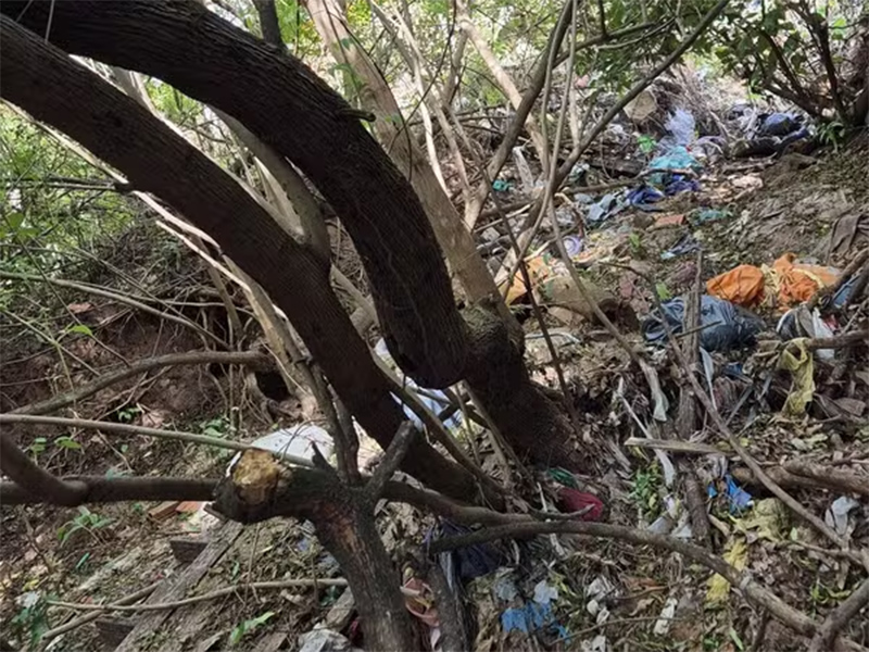 Após esconder entorpecentes em matagal, pai e filho são presos por tráfico em Pirapozinho