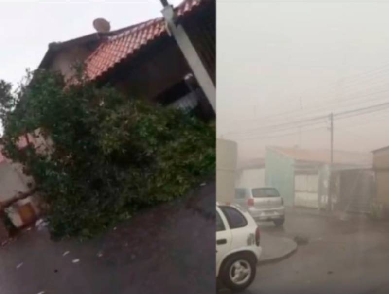 Chuva de granizo atinge Assis, destelha casas, derruba árvore e assusta moradores