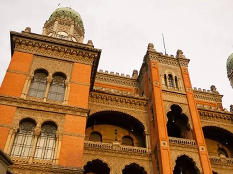 Fiocruz inicia testes em humanos para tratar Atrofia Muscular Espinhal