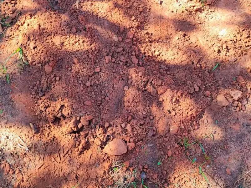 Casal preso por queimar corpo de recém-nascido é liberado em Álvares Machado