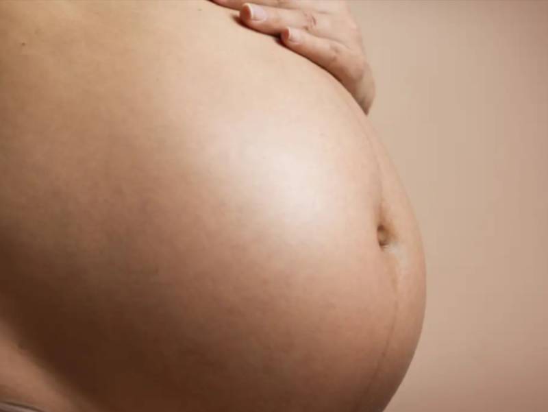 Estudo busca eliminar transmissão vertical de vírus que causa leucemia