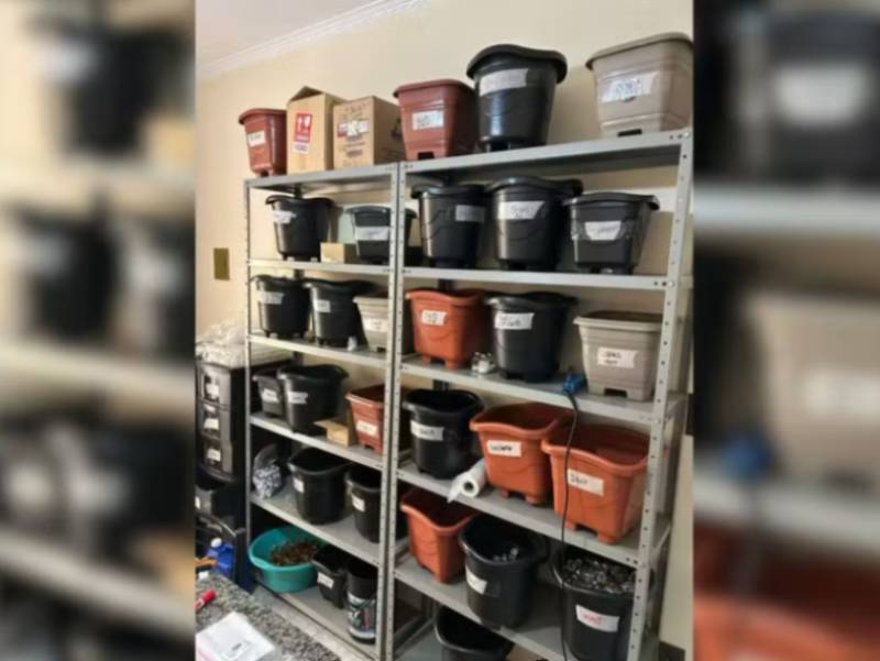 Polícia apreende anabolizantes encontrados em laboratório clandestino