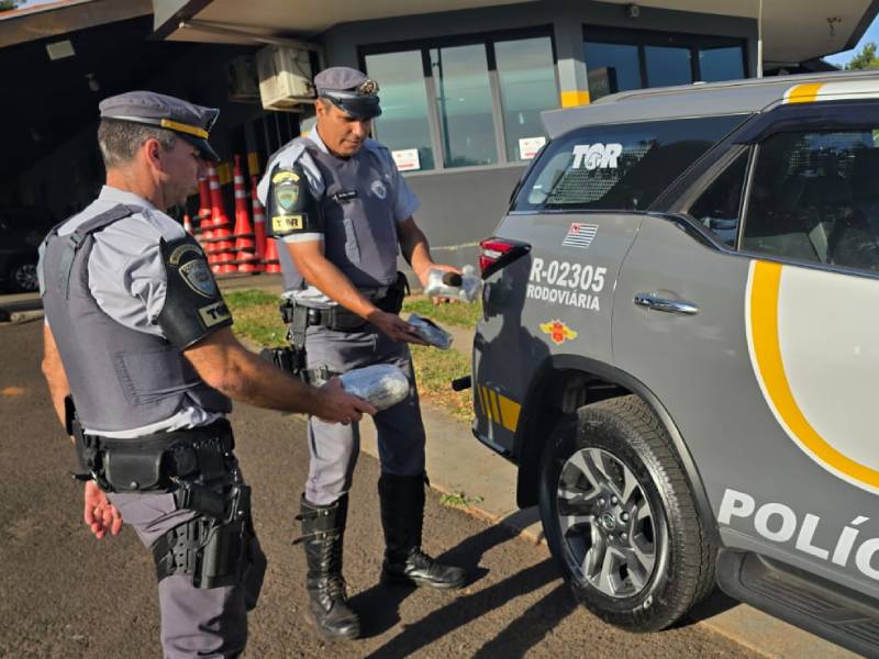 Mulher é presa em Assis transportando drogas em bagageiro de ônibus