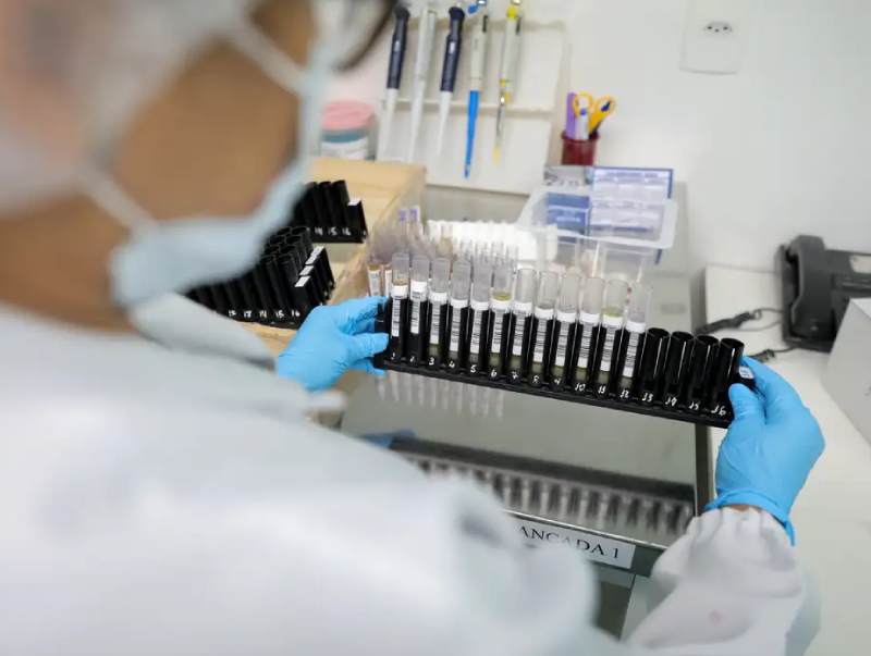 Malária: Anvisa autoriza teste em humanos de vacina 100% brasileira