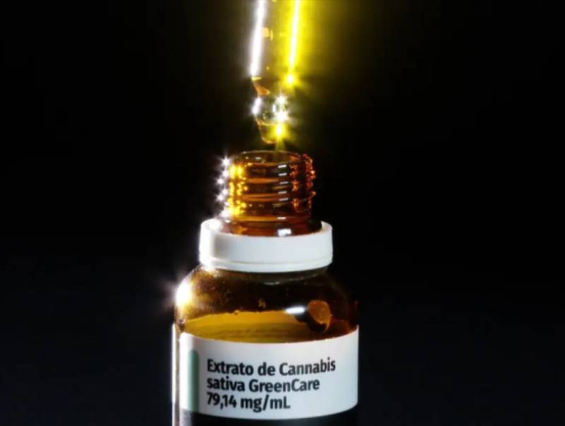 Anvisa aprova cultivo de cannabis por empresas e amplia acesso