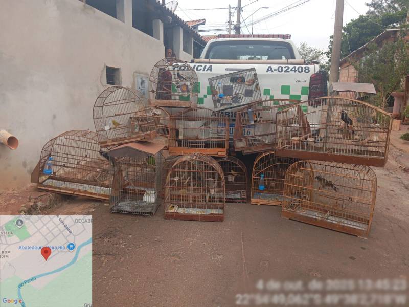 Homem é multado em R$ 17 mil por manter aves silvestres e exóticas em cativeiro na região