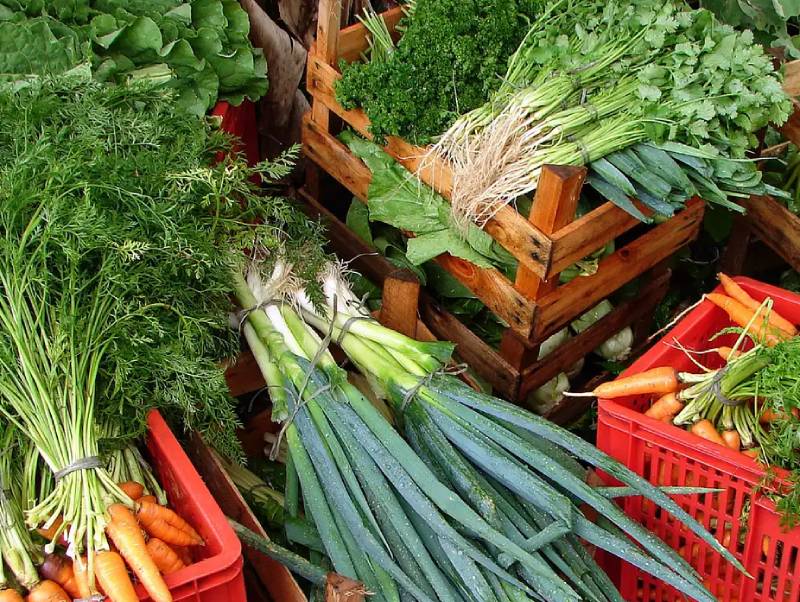 Custo de cesta básica ideal para uma pessoa chega a R$ 432 em abril