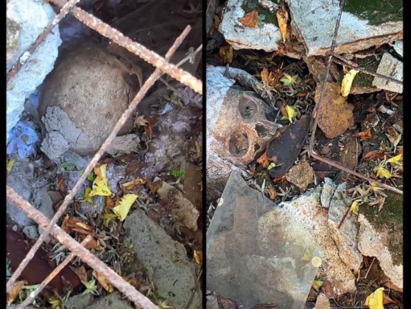 Morador denuncia túmulos abertos e cadáveres expostos em Paraguaçu Paulista