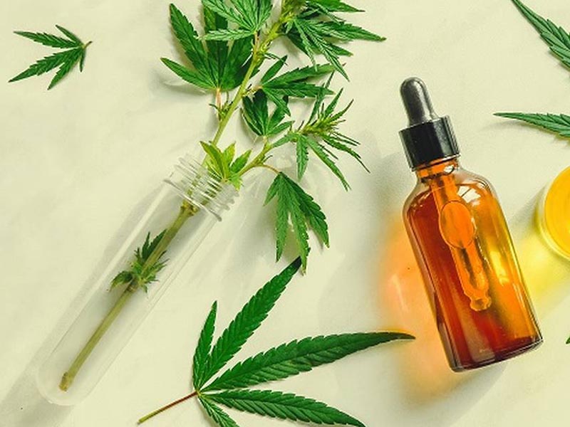 São Paulo terá medicamento à base de cannabis no SUS
