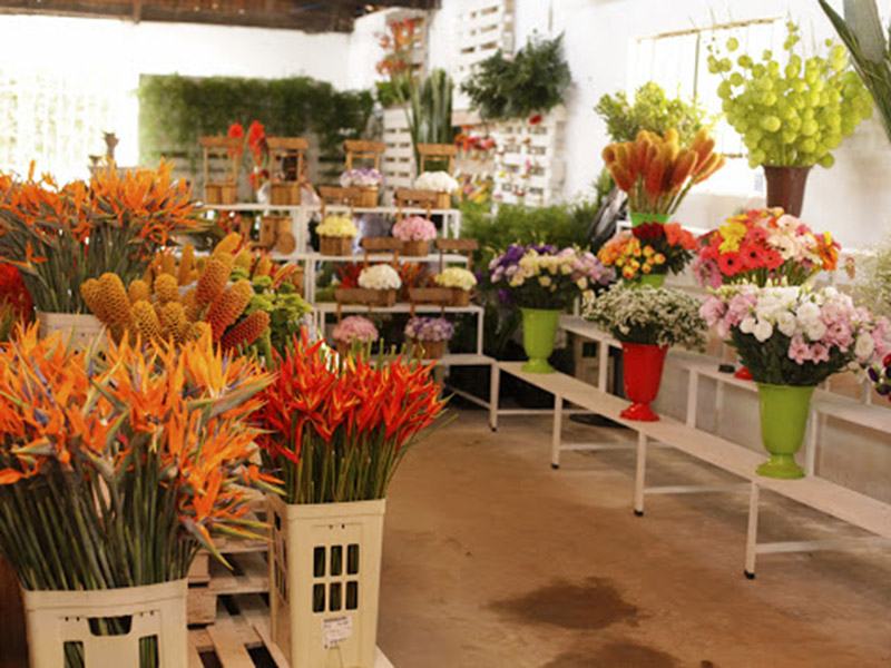 Dia das mães: data é a mais importante para o setor de flores