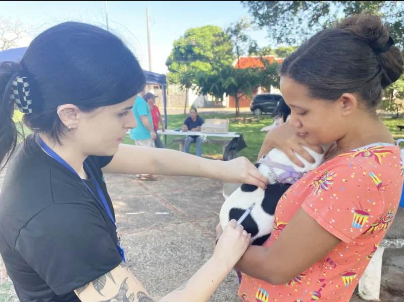 Sexta-feira tem vacinação contra a raiva para cães e gatos em Paraguaçu Paulista