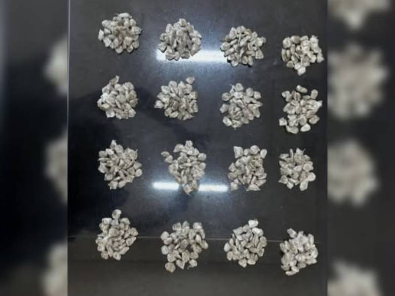 Policiais militares de Paraguaçu Paulista fazem apreensão de mais de meio quilo de maconha