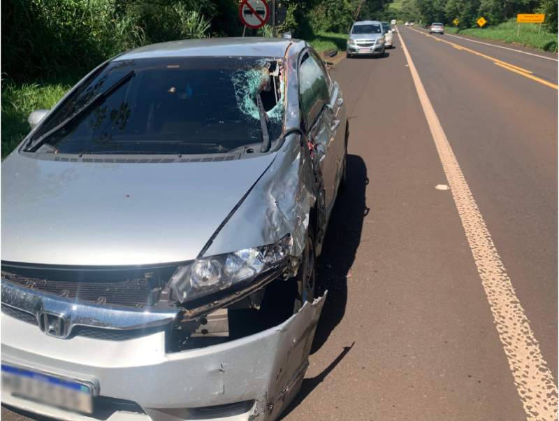 Motociclista paraguaçuense morre após colidir contra veículo na SP 421, próximo a Conceição
