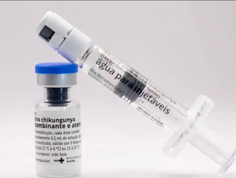 Butantan vai produzir vacina nacional contra chikungunya
