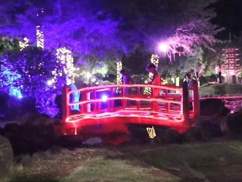 Jardim das Cerejeiras segue com iluminação e horário especial de funcionamento até o Carnaval