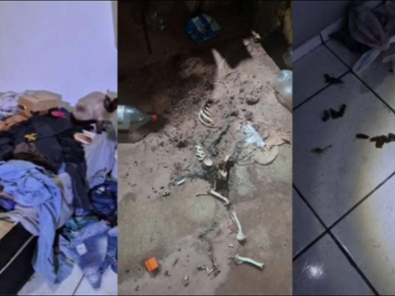 Mulher é presa após criança ser resgatada em situação de abandono em Assis