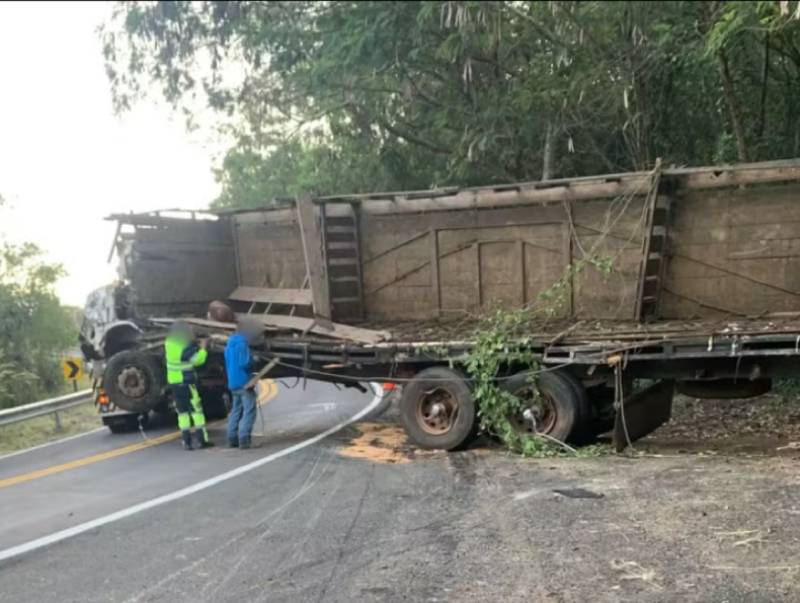 Carreta carregada com bois tomba em rodovia de Agudos