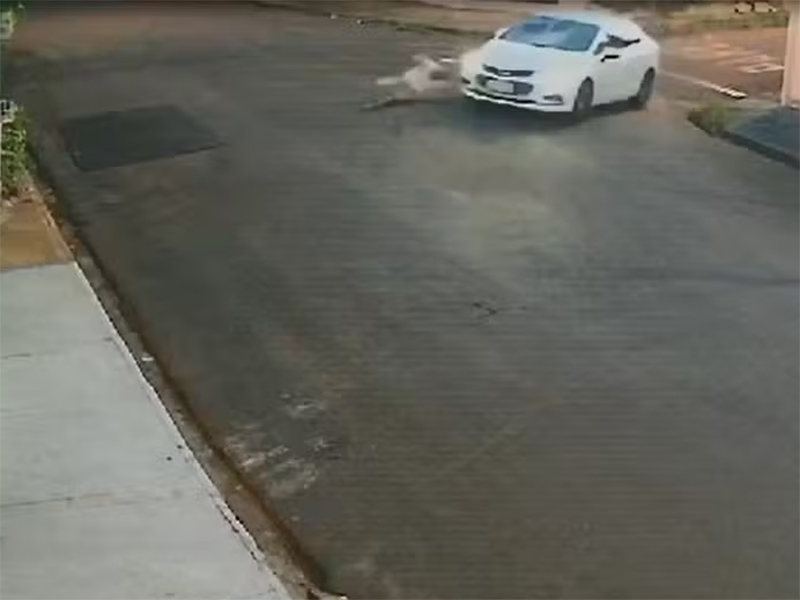 Ciclista é atropelado e arremessado por carro em Fernandópolis