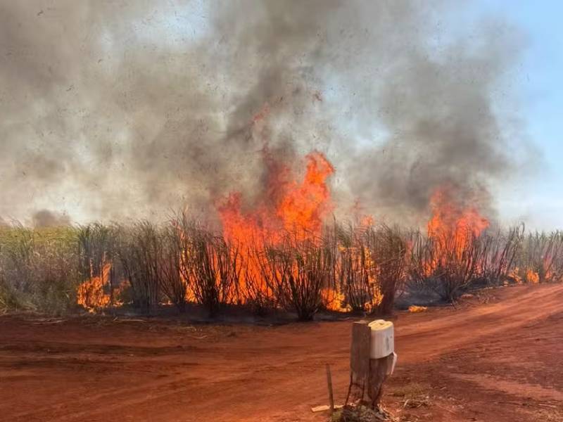 Incêndios na região atingem canaviais, vegetação nativa e áreas próximas a casas