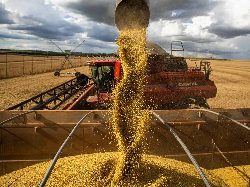 Queda no preço dos alimentos vai permanecer, diz ministro