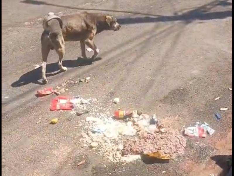 Moradores da Murilo Macedo reclamam do serviço de coleta e sofrem com lixo espalhado pelas ruas