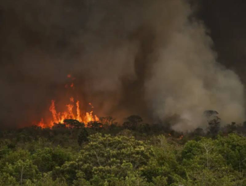 Câmara aprova aumento de punição a quem provocar incêndios florestais