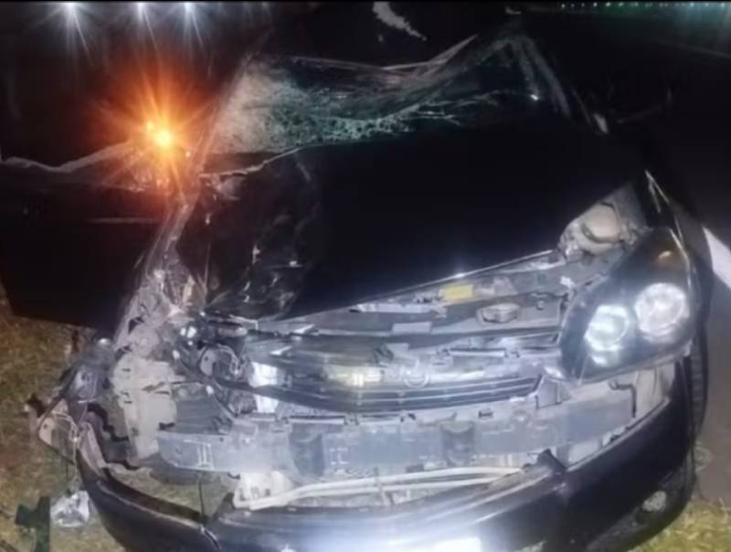 Cavalo morre atingido por carro e caminhão em rodovia do interior de SP