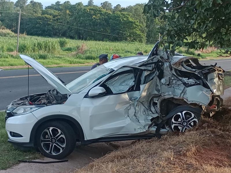 Mulher de 83 anos não resiste após colisão entre veículo e caminhão, na SP 457, entre Bastos e Iacri