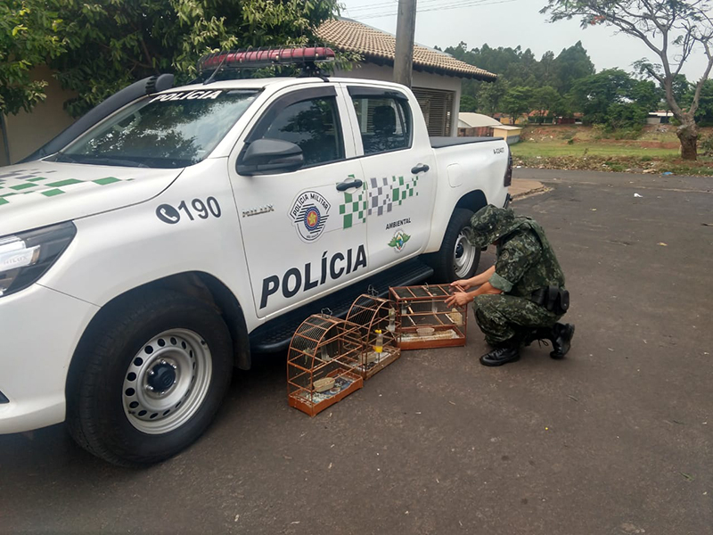 Morador da Barra Funda é multado por manter aves silvestres em cativeiro