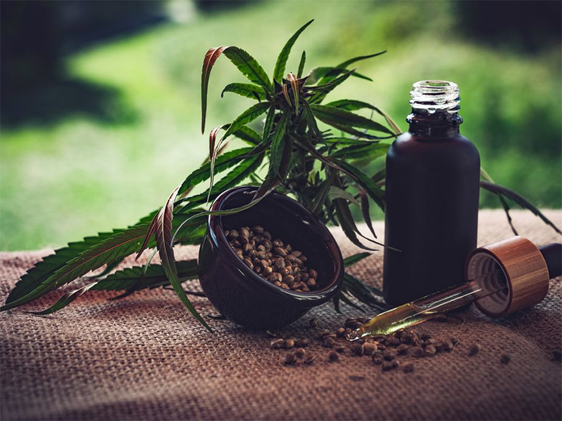 Governo de SP regulamenta fornecimento de cannabis medicinal pelo SUS