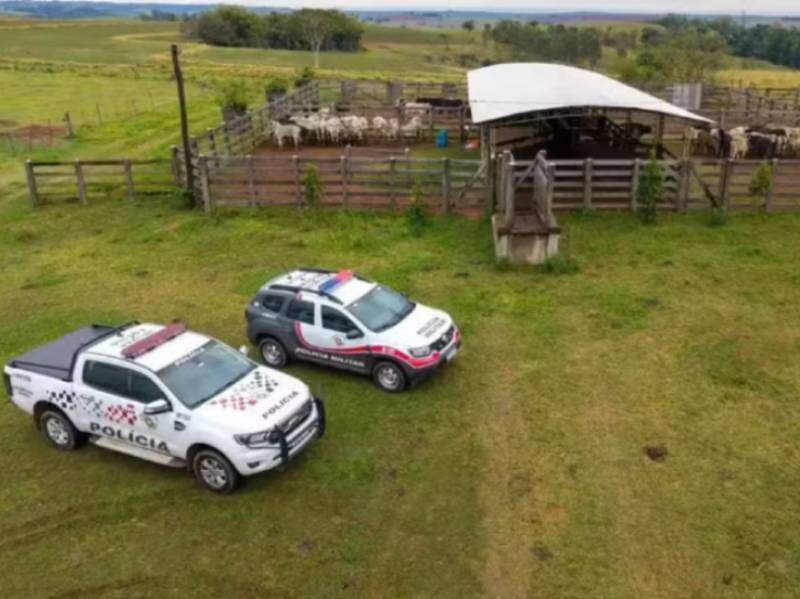Homem é preso em Pompeia após PM achar mais de 90 cabeças de gado furtadas