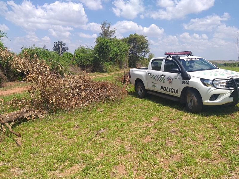 Sitiante derruba árvores nativas para melhorar acesso a propriedade rural e leva multa de R$ 5,1 mil