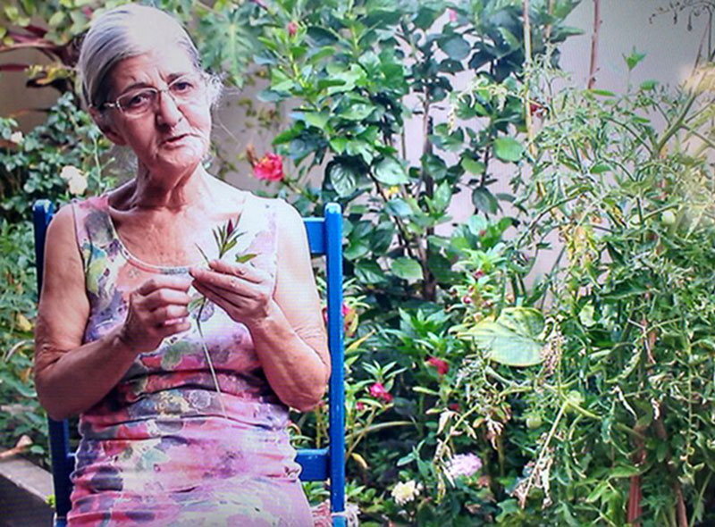 A voz da alma de Mariinha