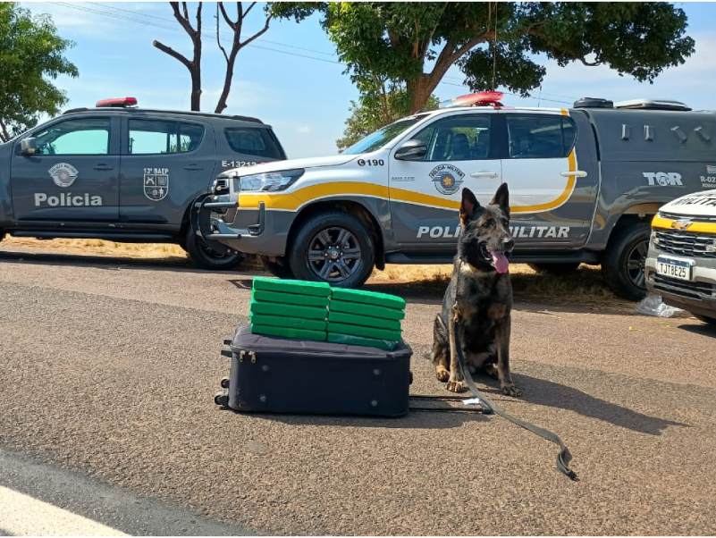 Polícia Rodoviária prende traficante com 10 tabletes de maconha em Ourinhos