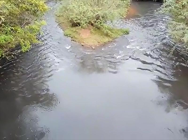 Moradores fazem nova denúncia sobre a poluição das águas do rio Capivara