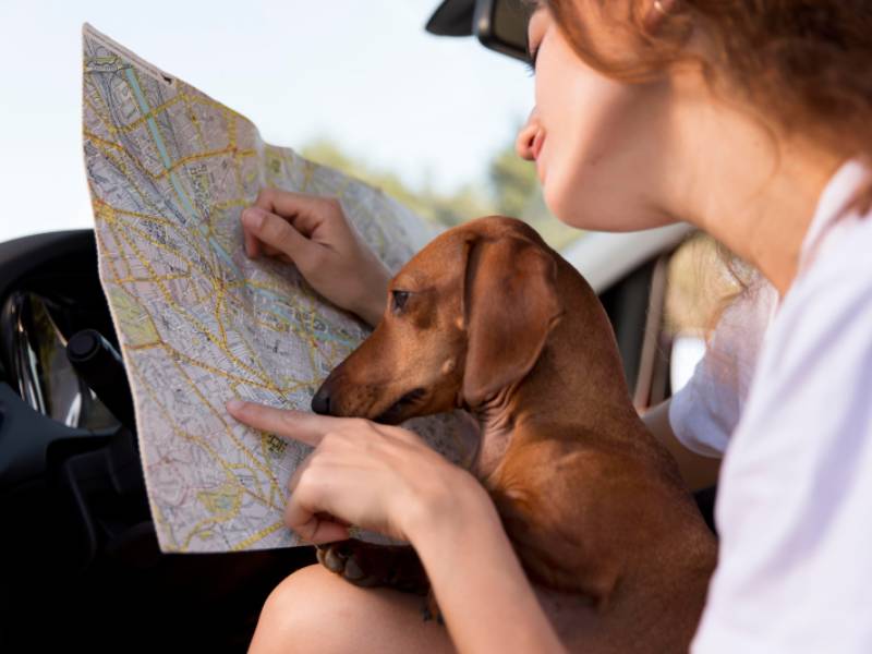 CART dá dicas para garantir viagens seguras nas férias