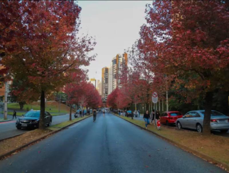 Outono começa hoje: veja como vai ser a estação em todas as regiões do Brasil