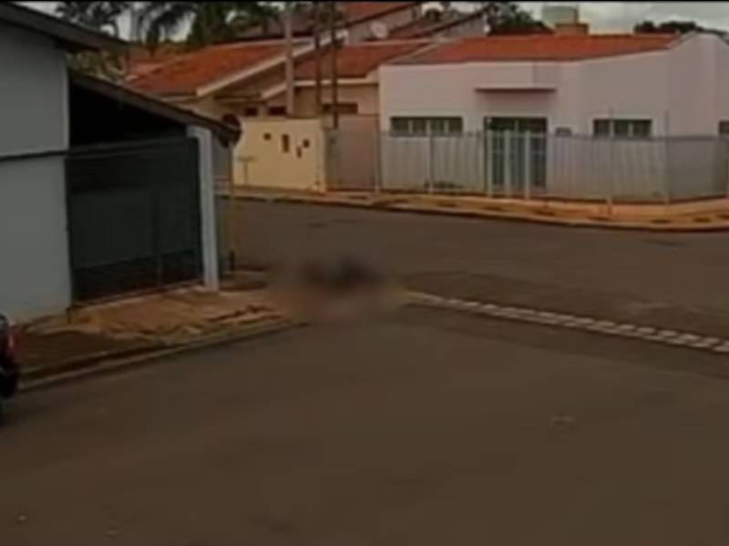 Pit bull solto na rua ataca e derruba mulher em Lençóis Paulista