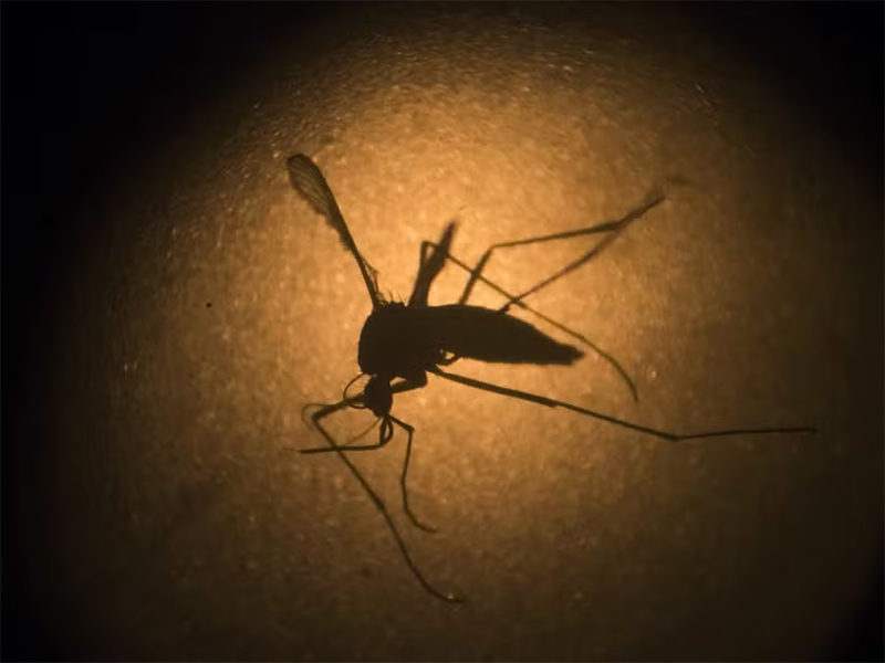 Tarumã confirma 1ª morte por dengue em 2024